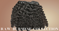 Raw Burmese Curly